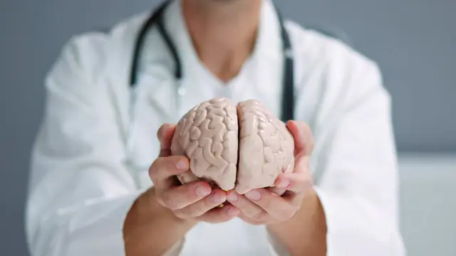 Brain Stimulation Fails to Boost Endurance in Study — image accompanying Marathon Handbook's report
