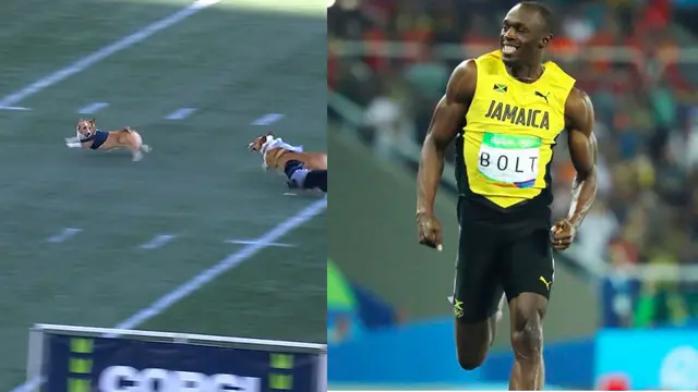 Corgi Banana Wins Corgi Cup, Goes Viral with Usain Bolt-like Pose — image accompanying Canadian Running's report