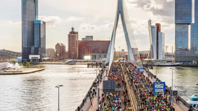 Dutch Court Rules Against Company for Firing Employee on Sick Leave — image accompanying Marathon Handbook's report