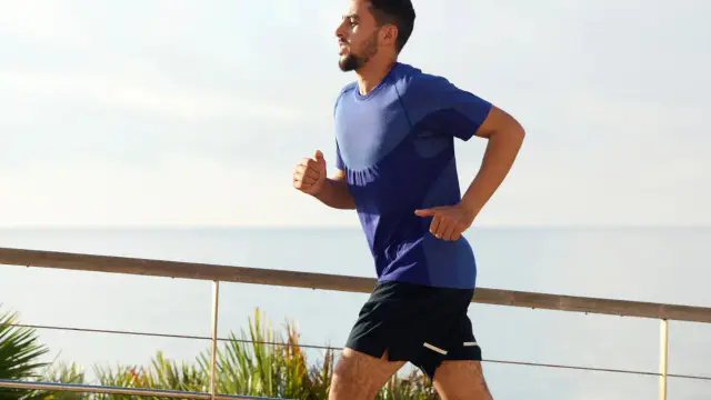 Endurance Runners: Plaque Presence and Heart Health Paradox — image accompanying Marathon Handbook's report