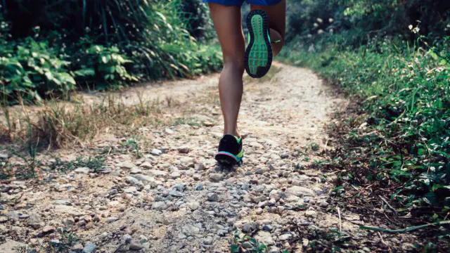 Ethiopian Runners' Training: Beyond Pace and Intensity — image accompanying Marathon Handbook's report