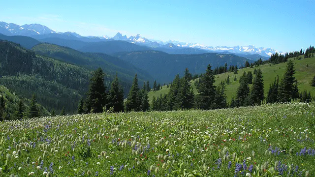 Fat Dog 120 ultra cancelled due to wildfires — image accompanying Canadian Running's report