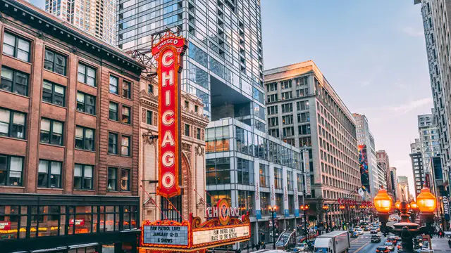 chicago marathon - bib