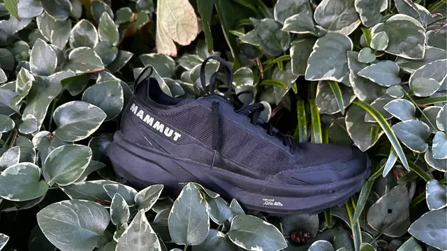 Mammut's Aenergy Trail All Mountain: A New Trail Shoe — image accompanying Believe in the Run's report