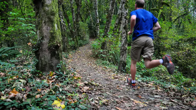 Masters Trail Runners: Best Training Mix Revealed — image accompanying Marathon Handbook's report