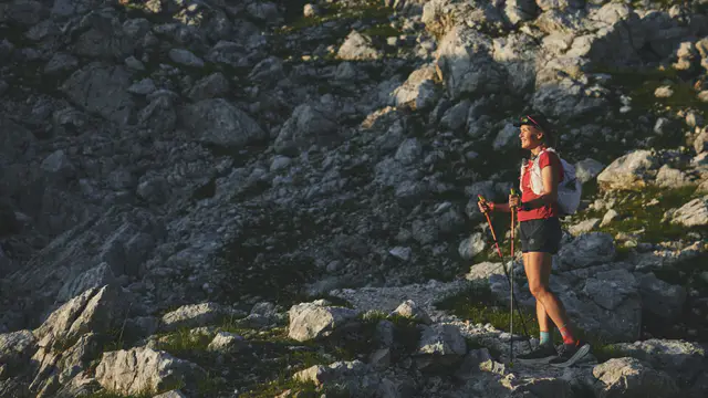 New Zealand Runner Sets New FKT on Via Alpina — image accompanying Canadian Running's report