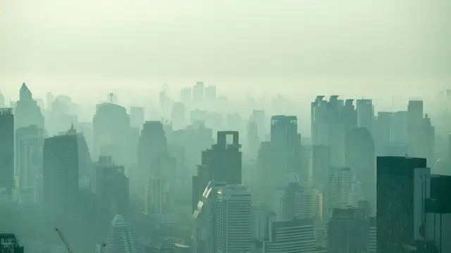 Ozone Exposure Affects Endurance Athletes' Performance — image accompanying Marathon Handbook's report