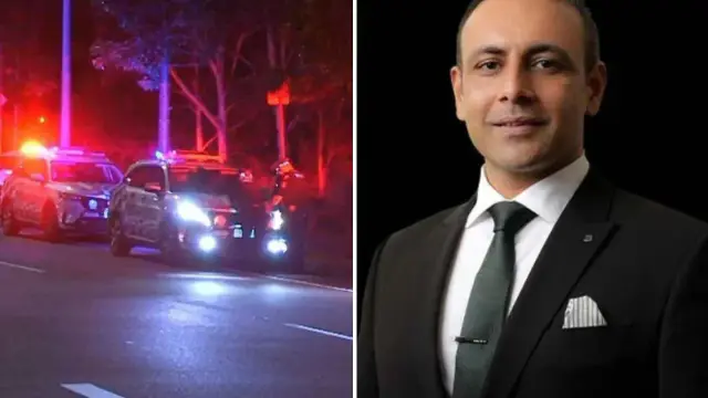 The owner of two dogs accused of attacking a man in a park in Brisbane's north, has said the animals have never been violent. | *Subscribe and 🔔: http://9So...