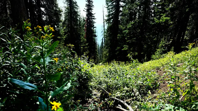 Top Trail Running Gear for Summer 2026 — image accompanying Believe in the Run's report