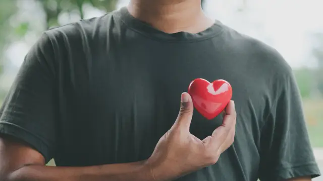 Trained Runners’ Hearts Work Less, Study Finds — image accompanying Marathon Handbook's report
