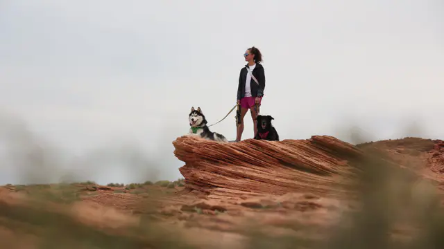 Ultrarunners to judge Canada’s Next Top Adventure Dog contest — image accompanying Canadian Running's report